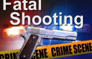 IFP branch member gunned down outside KZN voting station
