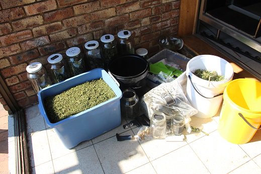 Hydroponic dagga lab cultivator accused denied bail