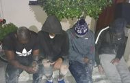 Four suspects arrested for possession of Abalone in Gansbaai