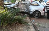 Gauteng: Young boy killed following collision with a tree in Melrose