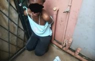 Female theft suspect makes second floor escape jump - nabbed by community in Lotus Park