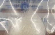 Suspects arrested with drugs and ammunition in Kraaifontein