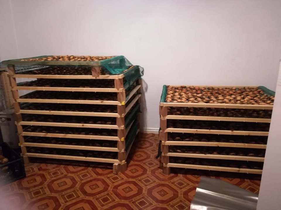 R1.9 million worth of Abalone seized from an illegal facility