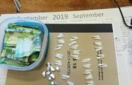 Two nabbed for dealing in drugs in Northern Cape
