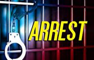 Police arrest alleged hijacker in Mayville
