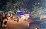 Man killed and security officers attacked in Canelands