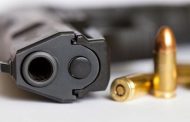 Firearm amnesty guidelines