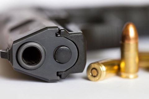 Firearm amnesty guidelines