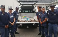 Suspect arrested on charges under the Living Marine Resources Act