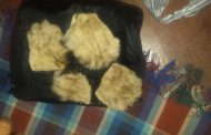 Four suspects arrested for the possession of lion paws