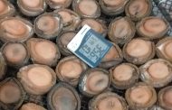 Two abalone poachers arrested in Bellville.