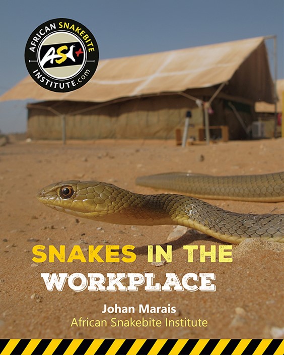 Guide to choosing Snake Handling Equipment