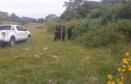 Herdsmen discovered a decomposing body in a River in Eastbury