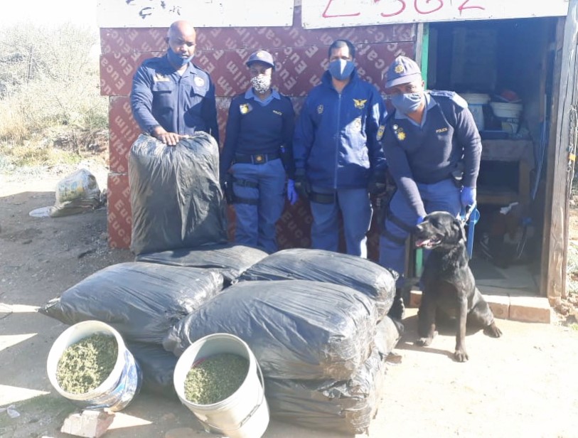 Kimberley K9 continues to clamp down on drug trafficking