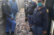 Two held for theft of copper cables estimated at R500 000