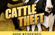 Suspected stock thieves nabbed with slaughtered cows