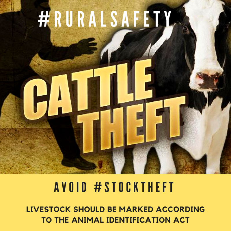 Four arrested for stock theft in Vryheid