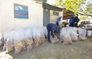 Abalone valued at R3, 5 million confiscated in Atlantis