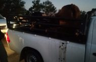 Suspect arrested for stock theft