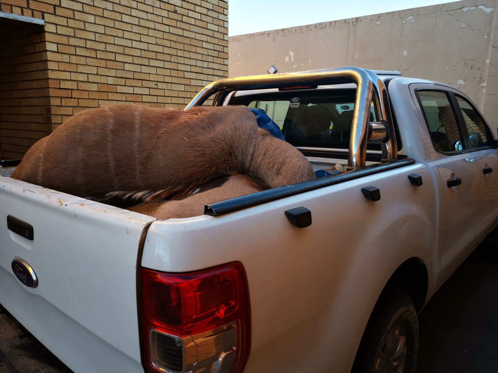 Three men arrested for illegal hunting in Kuruman