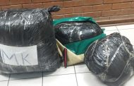 R90 600 worth of cannabis and a sheep carcass confiscated at a roadblock