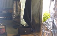 Seven suspects arrested on charges of cultivating of dagga, possession of explosives, possession of firearms and ammunition in Worcester