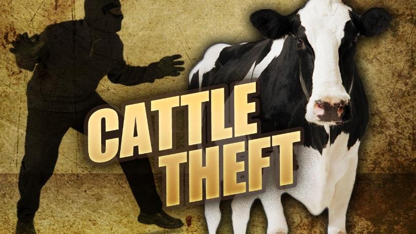 Senior court official from Pongola in custody for stock theft