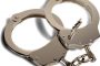 Over R1 million worth of Abalone seized in Cape Town