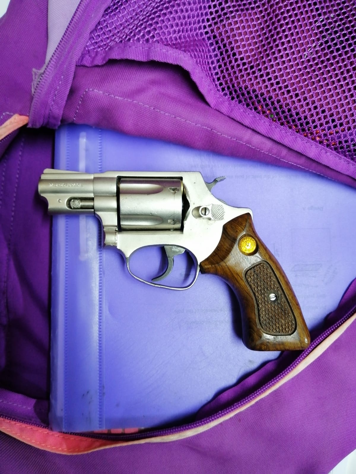 Scholar arrested with firearm at school