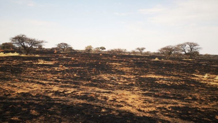 Current needs assessments of fire affected Western-Free State Farmers