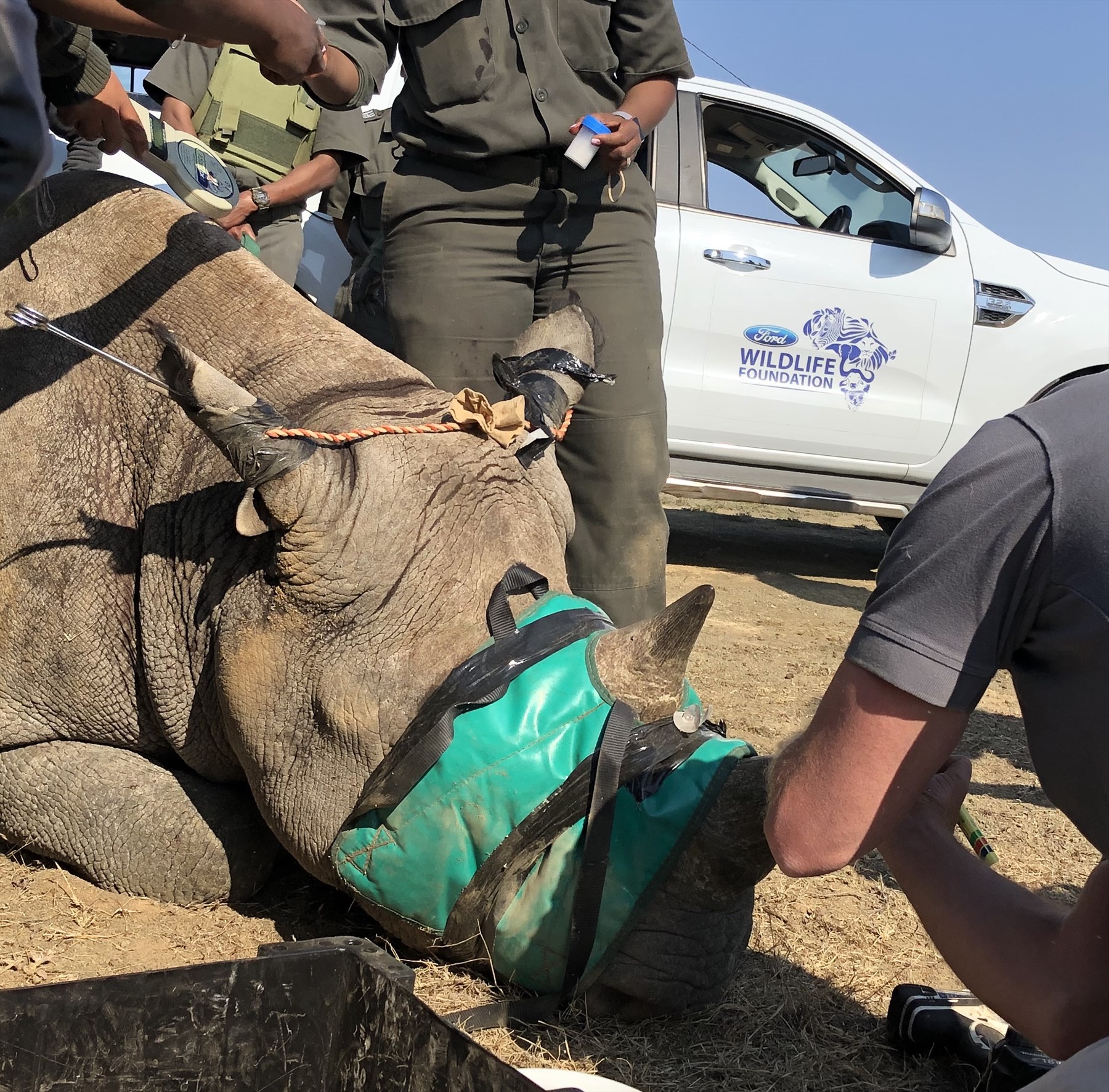 Ford Wildlife Foundation Sponsors EWT Team in 2020 Rhino Peak Challenge