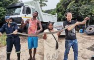 Black Mamba Found In Truck Yard in Oaklands, KZN