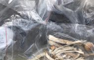 Police in Port Elizabeth squeezing the space of criminals