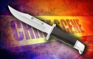 Alleged murder suspect hands himself over to police