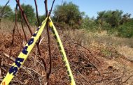 Gauteng police commissioner welcomes the arrest of a suspect following the discovery of the body of an abducted in a shallow grave
