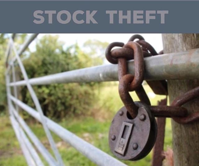 Stock Theft suspect arrested in the Eastern Cape