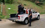 Theft suspect nabbed in Mountview