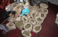 Cannabis franchise owner appears in court after R2 million dagga seized