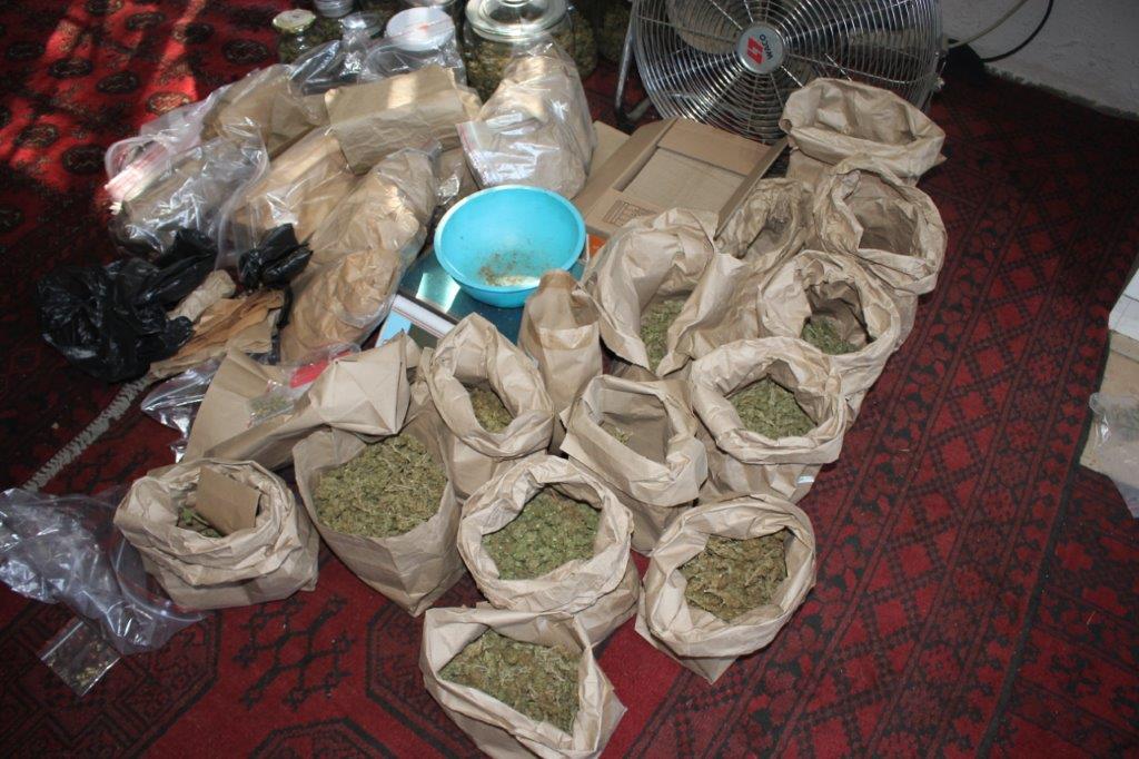 Cannabis franchise owner appears in court after R2 million dagga seized