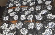 Alleged Phoenix drug dealer remanded in custody