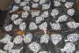 Fetus found at a dumpsite in the Eastern Cape