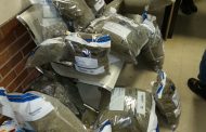 Plessislaer deployments net a dagga dealer
