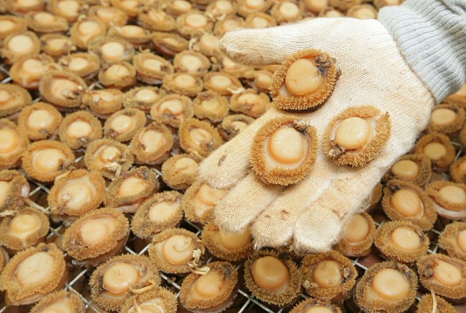 Suspects arrested for possession of abalone worth more than R1.4 Million