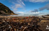 Restoring natural landscapes through waste clean-ups