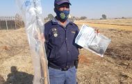 Suspected Rhino poachers clamped down