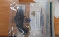Two firearms and six cattle recovered during police operation in Amangwe