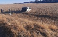Driver arrested after bakkie filled with abalone rolls on the N6