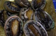 Trio nabbed for possession of abalone worth an estimated R1.3 million