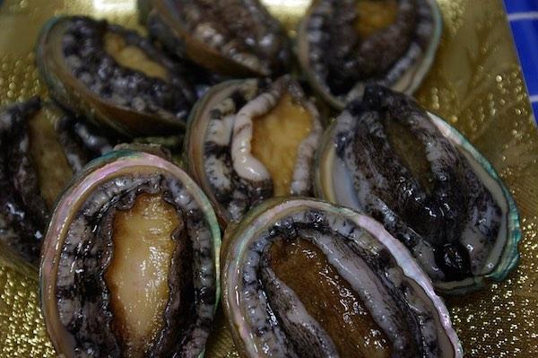 Trio nabbed for possession of abalone worth an estimated R1.3 million