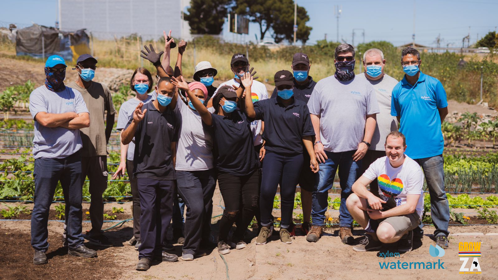 Bellville's first urban food garden spring harvest brings new hope and growth